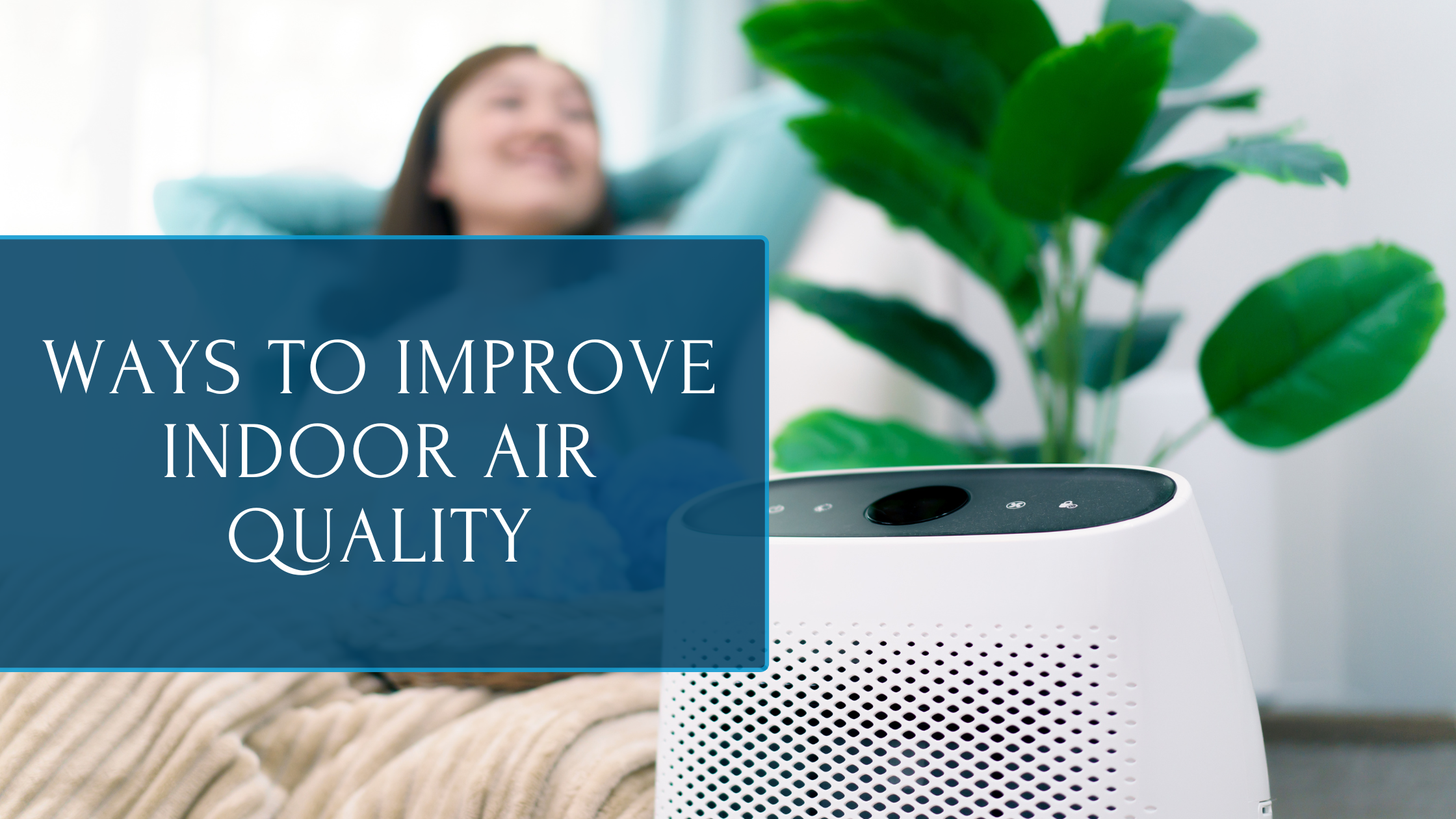 Image showcasing Top Indoor Air Quality Options to Breathe Cleaner, Healthier Air at Ho